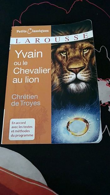 Livre Yvain ou le chevalier au lion