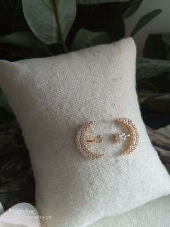 Boucles d'oreilles lunes étoilées en acier inoxydable