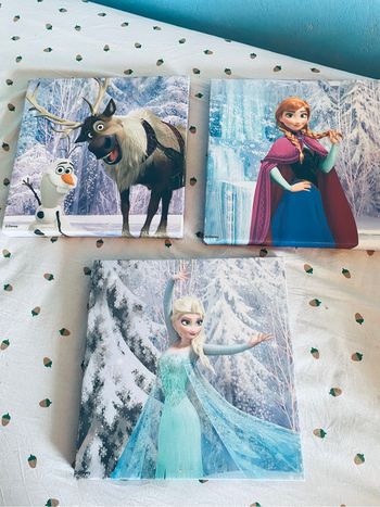 Cadre reine des neiges