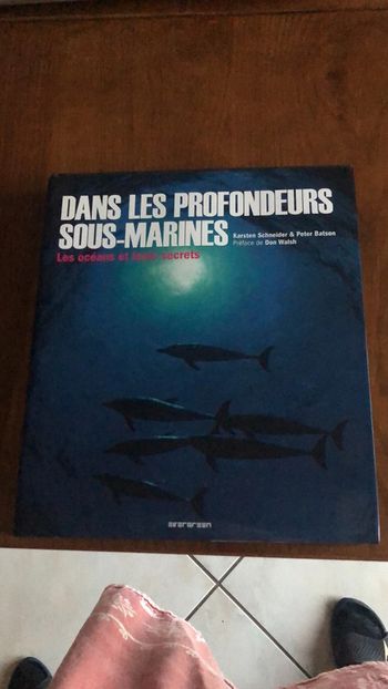 Dans les profondeurs sous-marines