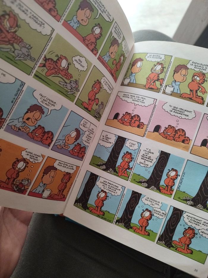 Bd garfield - photo numéro 2