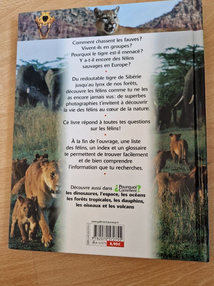 La vie des félins - photo numéro 3