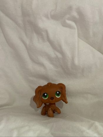 lps cocker
