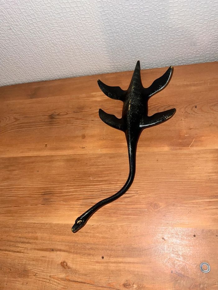 Elasmosaurus - photo numéro 3