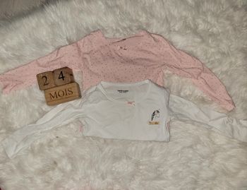 Tee-shirt 18m licorne