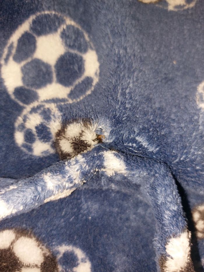 Peignoir - photo numéro 3