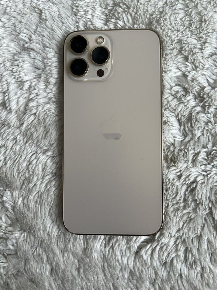 Une iphone treize pro max - photo numéro 7