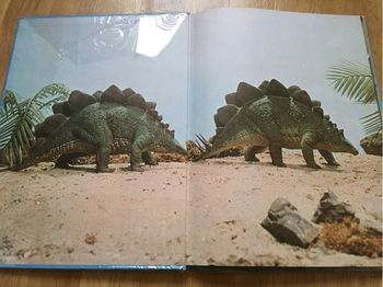 Animaux préhistoriques ou dinosaures 