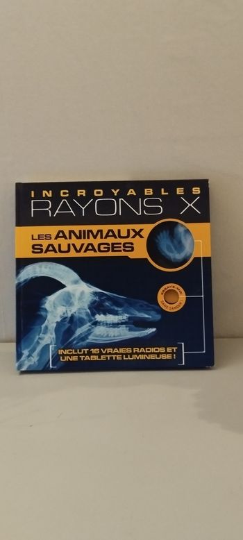 Incroyables rayons X les animaux sauvages