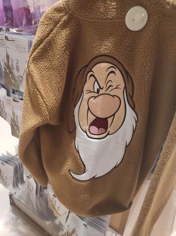 Polaire grincheux Disneyland paris