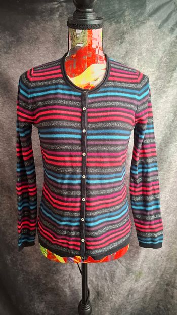 Gilet fin rayé multicolore fils argenté boutons nacrés