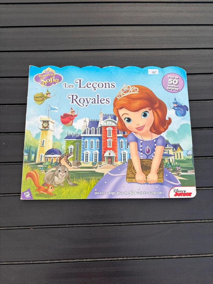 🌺Livre à volets Disney princesse Sofia Les leçons royale🌺