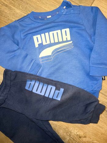 Ensemble puma