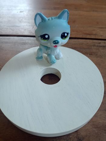 Husky Little Pet Shop