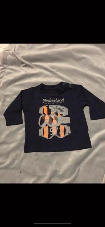Teeshirt Timberland
