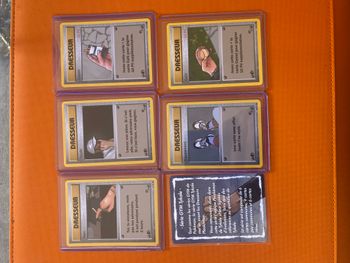 Cartes ploukemon parodie Pokemon 