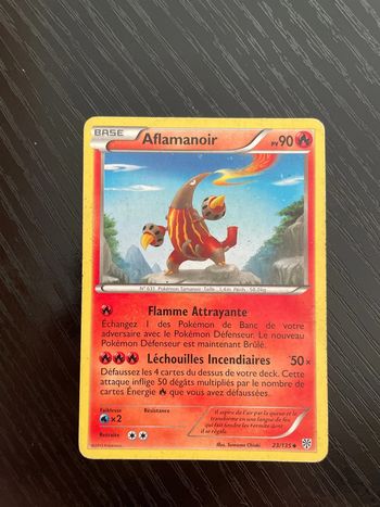 Carte Pokémon Aflamanoir 23/135