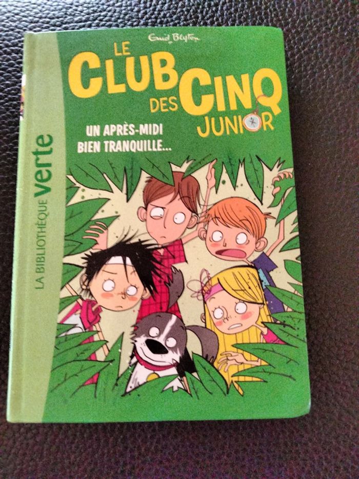Livre le club des 5 junior 1 après midi bien tranquille 6/8 ans bibliothèque verte hachette jeunesse
