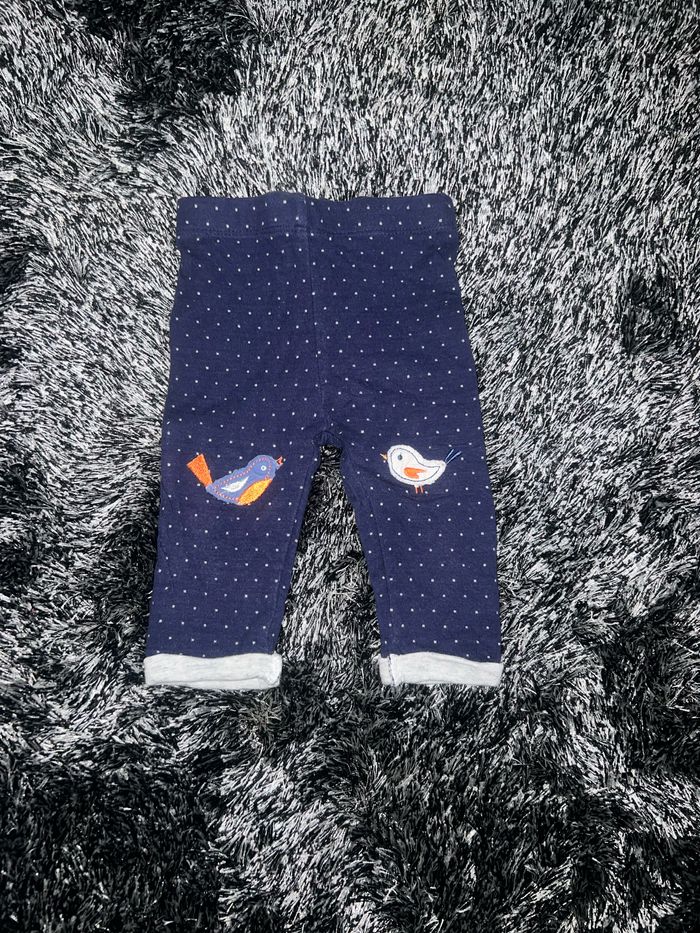 Legging oiseaux