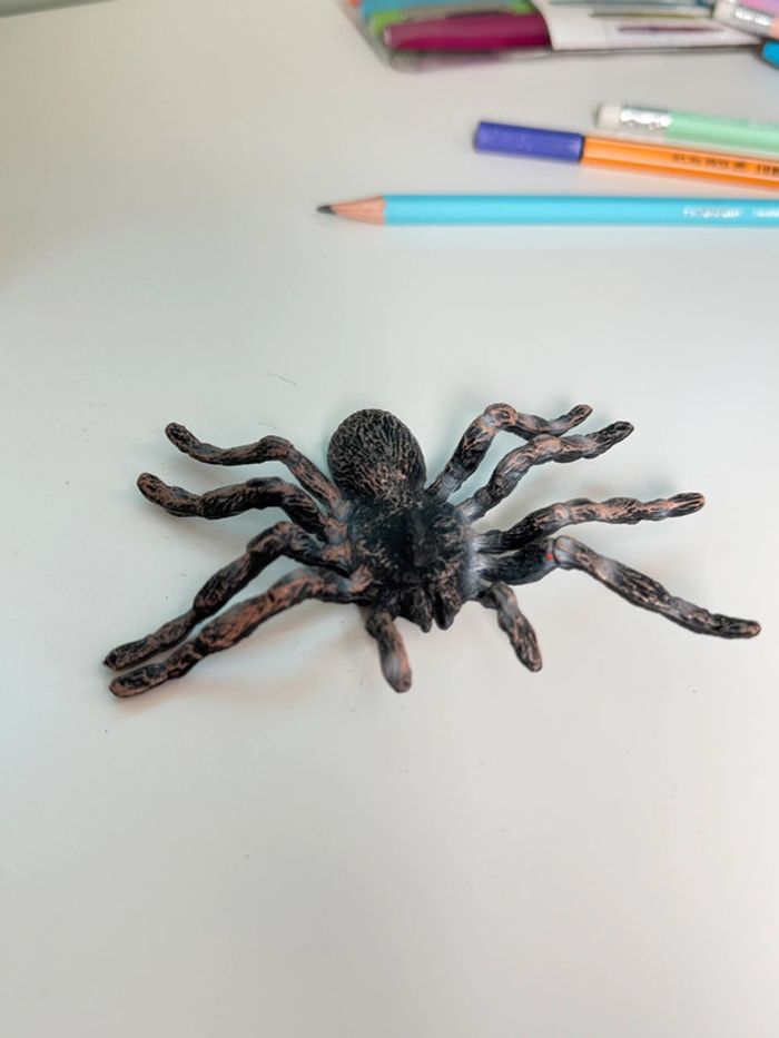 Cycle de vie: L'araignée - Lot de 4 figurines - photo numéro 6