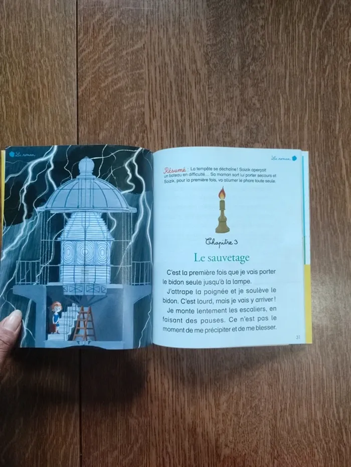 Livre la petite gardienne du phare - photo numéro 19