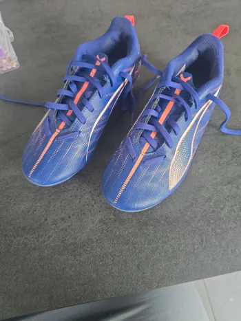 Crampon puma