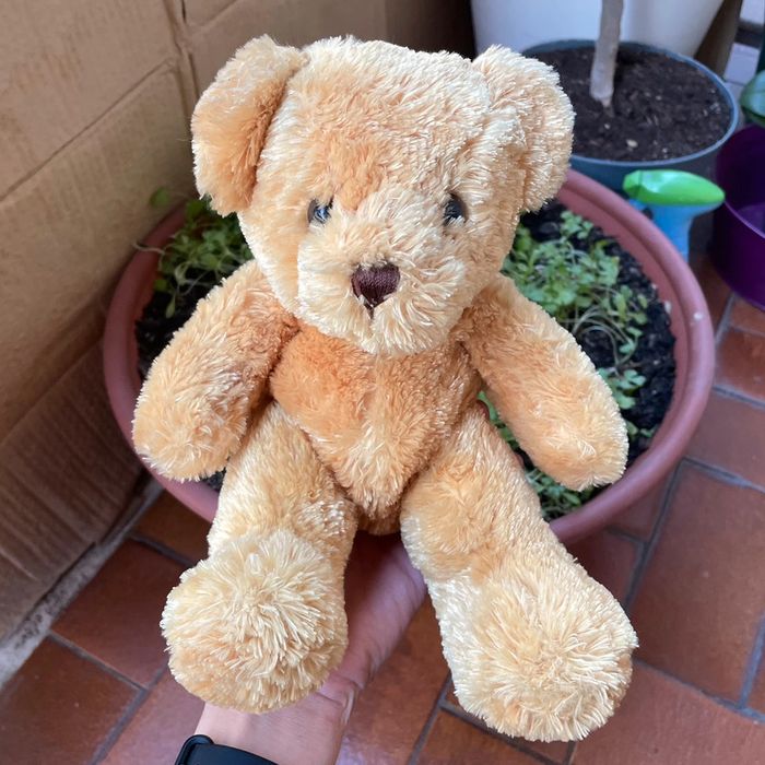 Peluche Ourson (1)