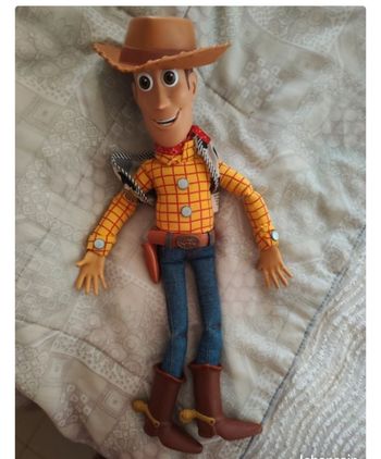 Woody parlant toy's stories