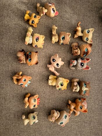 Lot 16 petshop chat