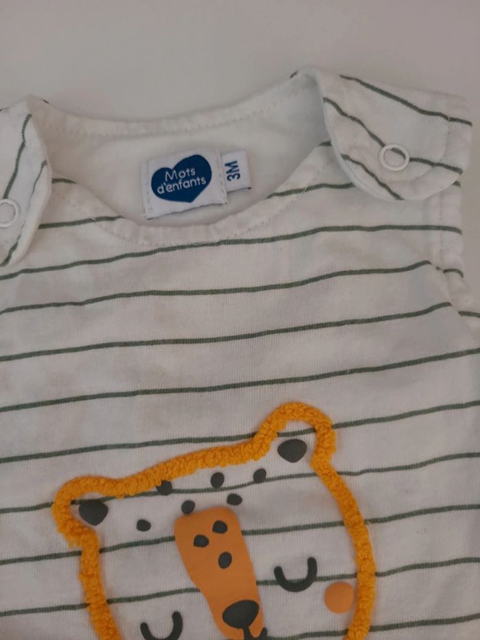 Combishort 3 mois - photo numéro 2