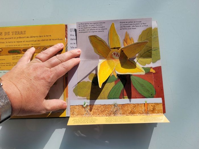 Livre animé Kididoc 🥕 Le Jardin Potager 🍆 - photo numéro 3