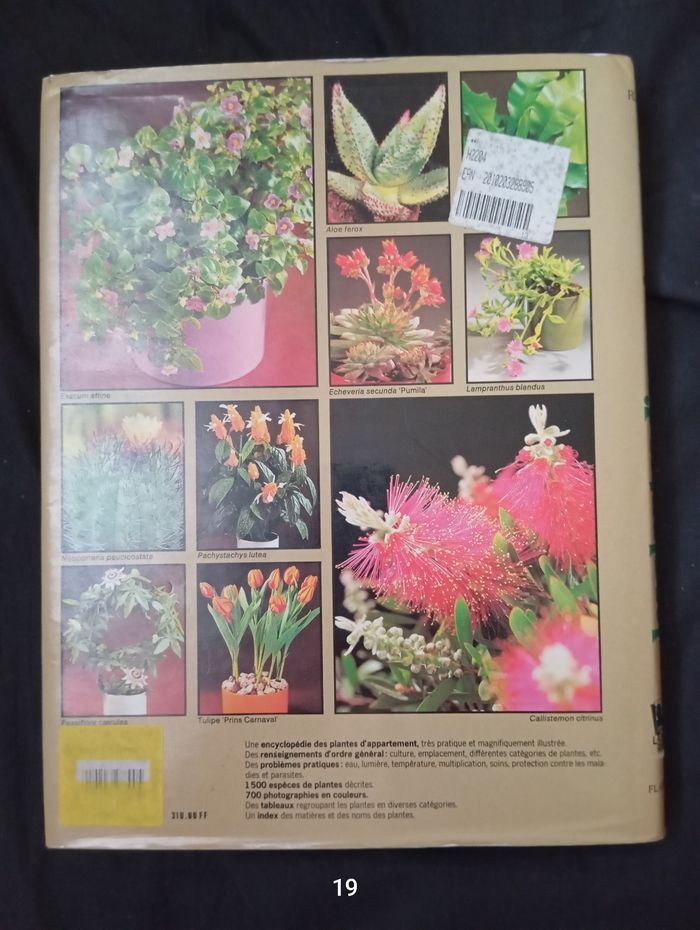 Rob Herwig - photo numéro 2