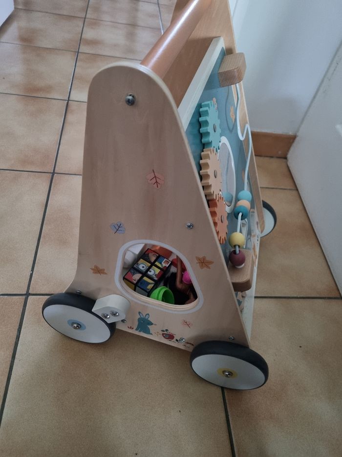 Chariot de marche - photo numéro 2