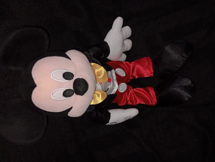 Mickey - photo numéro 2
