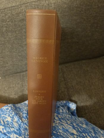 Livre Raboliot