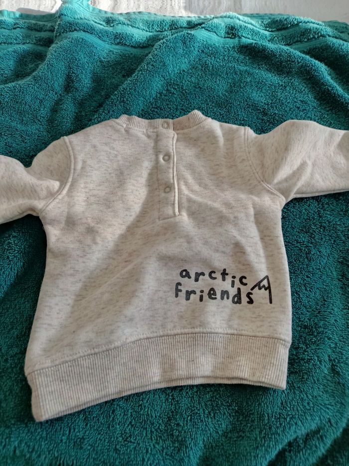 Pull phoque - photo numéro 2