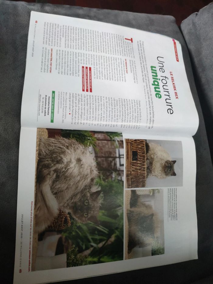 Magazine 30 millions d'amis numéro 386 été juillet août 2020 - photo numéro 7