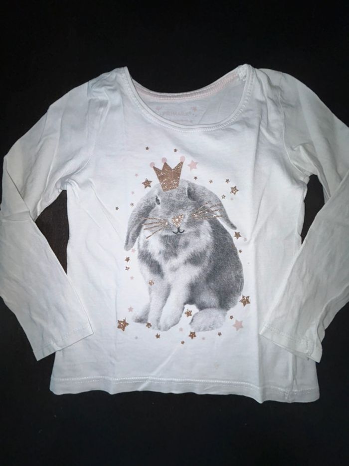 Lots teeshirts manches longues 4 ans - photo numéro 2