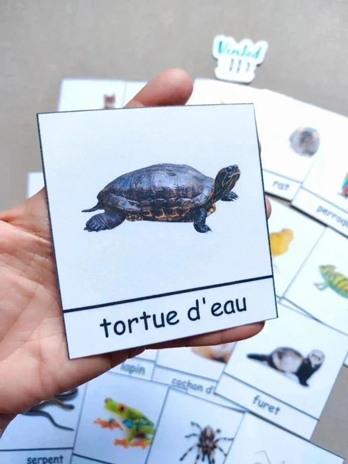 18 cartes de nomenclature des animaux domestiques