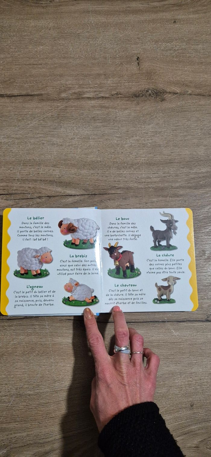 Gros livre L'imagerie des bébés : Les animaux - photo numéro 2