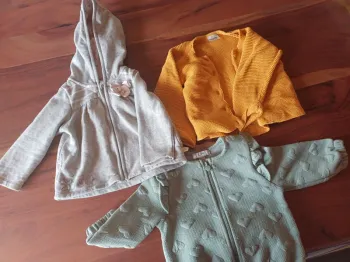 Vestes