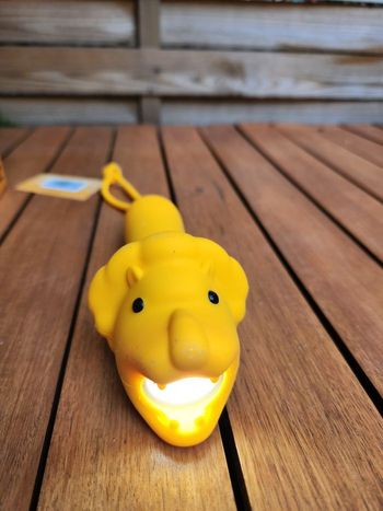 lampe de poche lion