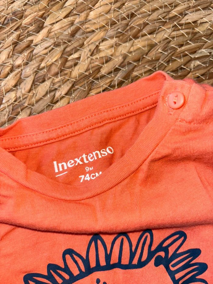 Lot 9 mois - photo numéro 4