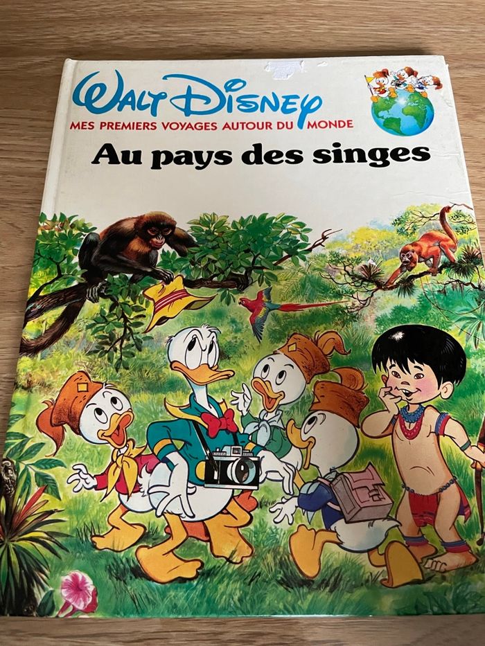 Au pays des singes - photo numéro 1
