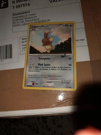 Carte pokemon