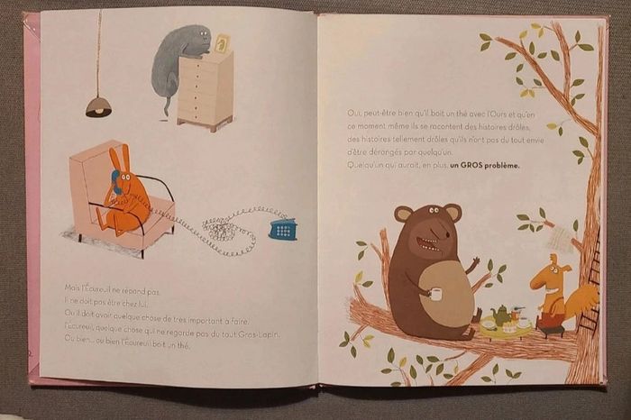 Livre Gros lapin - photo numéro 2