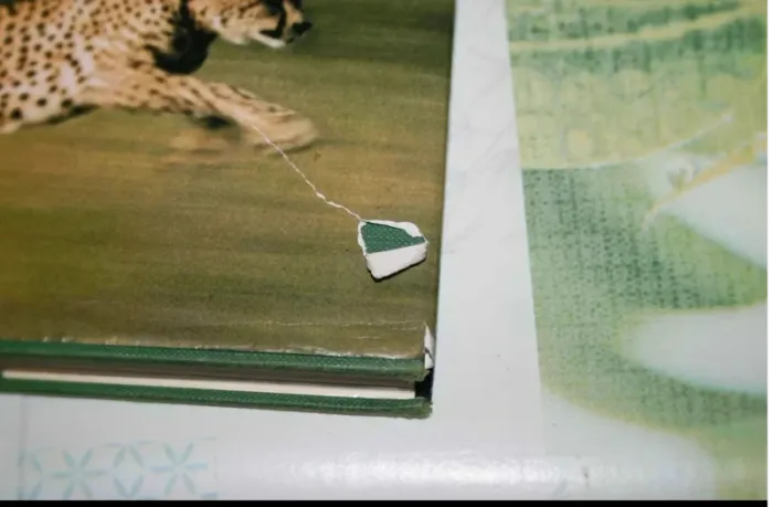 livre - photo numéro 5