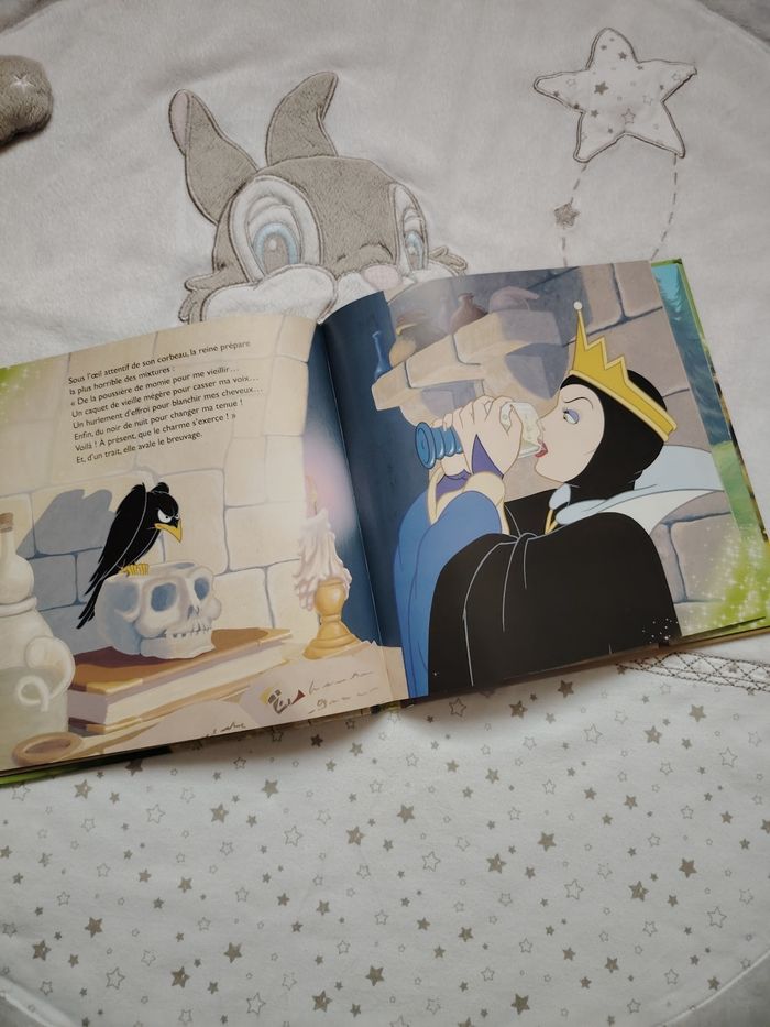 Livre blanche neige - photo numéro 3