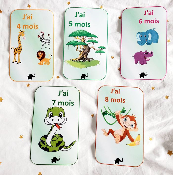 Cartes étape - Thème Jungle - photo numéro 3