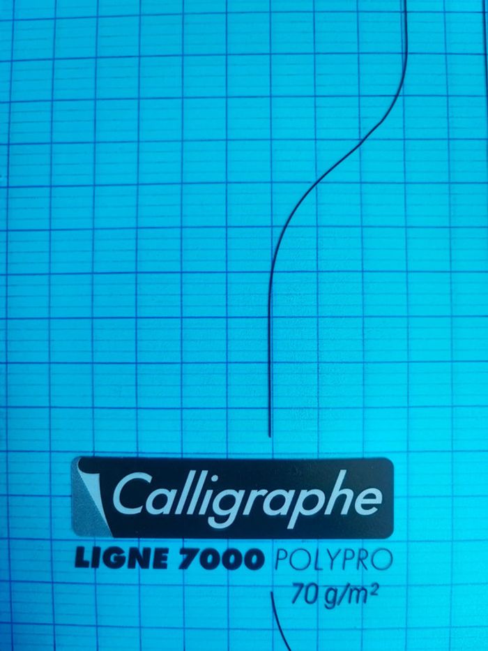 Cahier Calligraphe - photo numéro 2